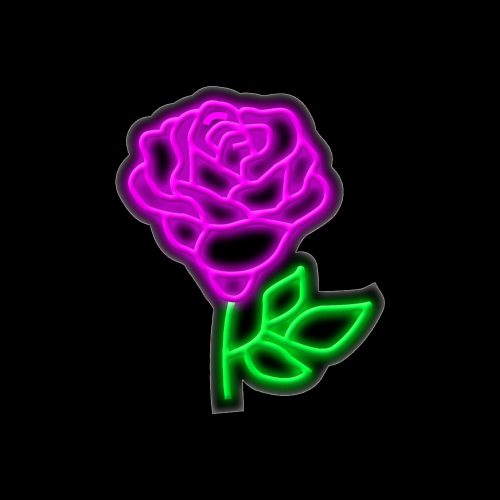 Rose en Neon